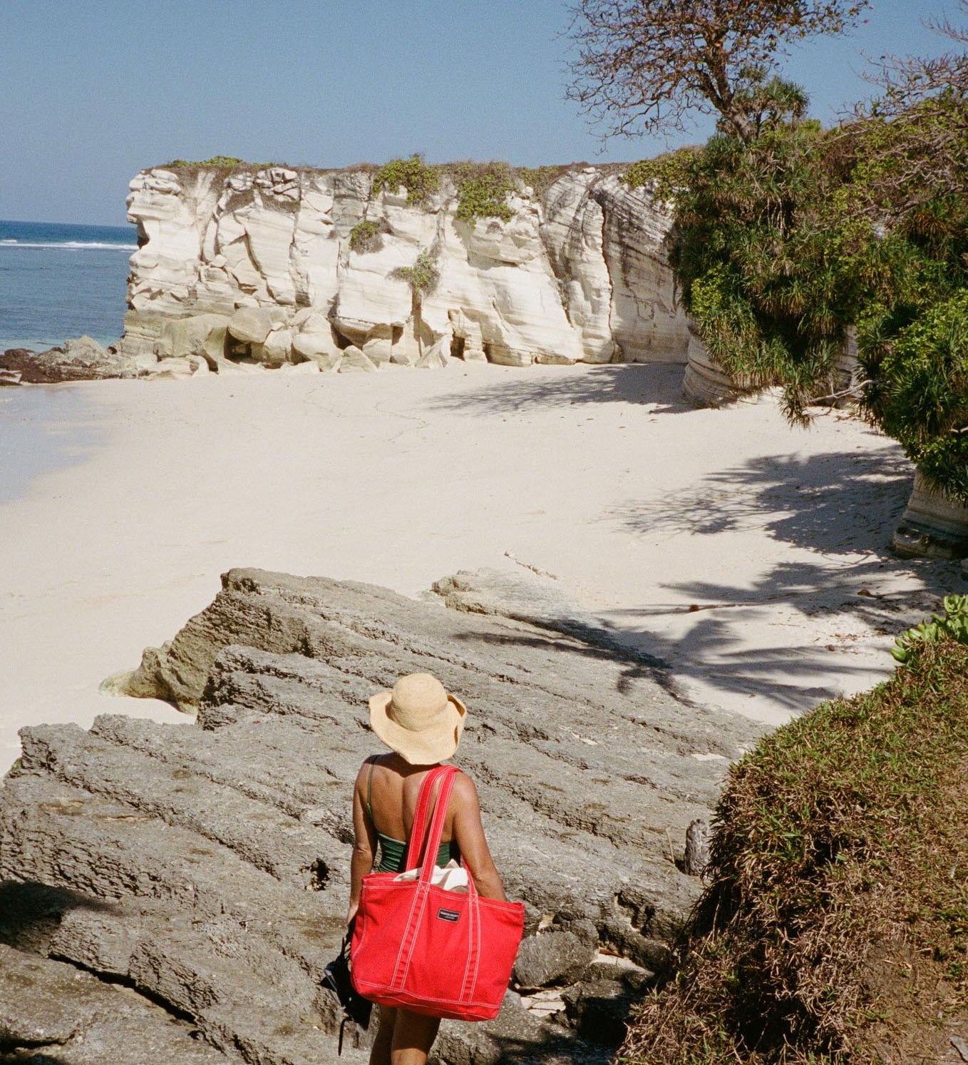 REMOTE TOTE - ROSELLA RED